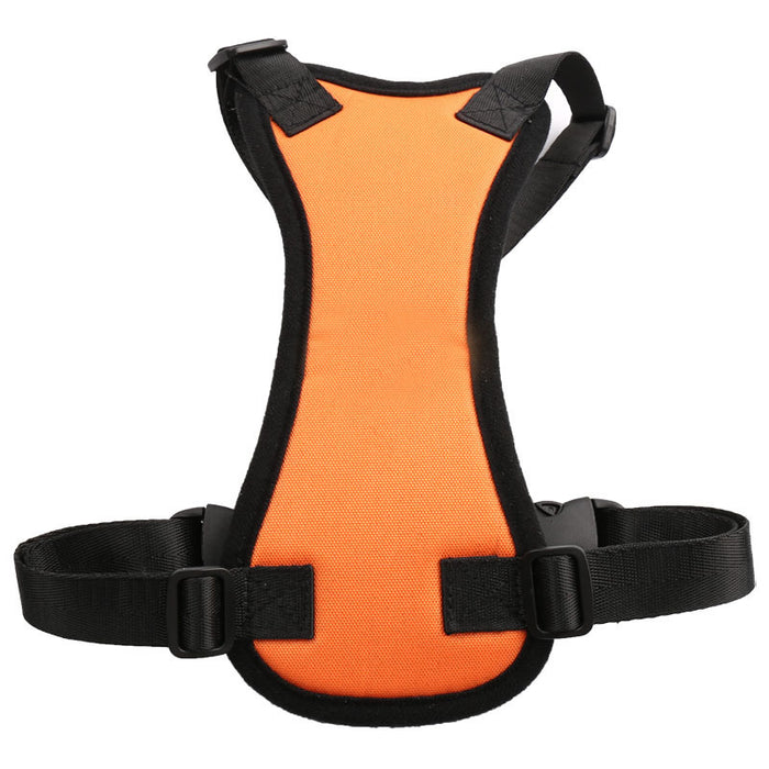 Car seat belt for pets