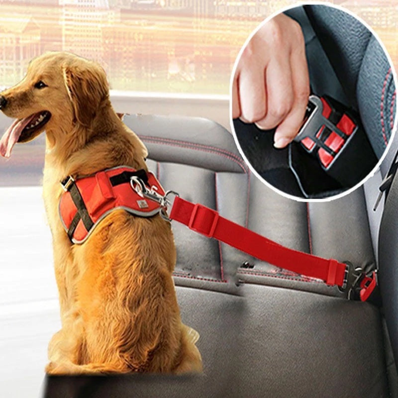 Seat Belt my puppy