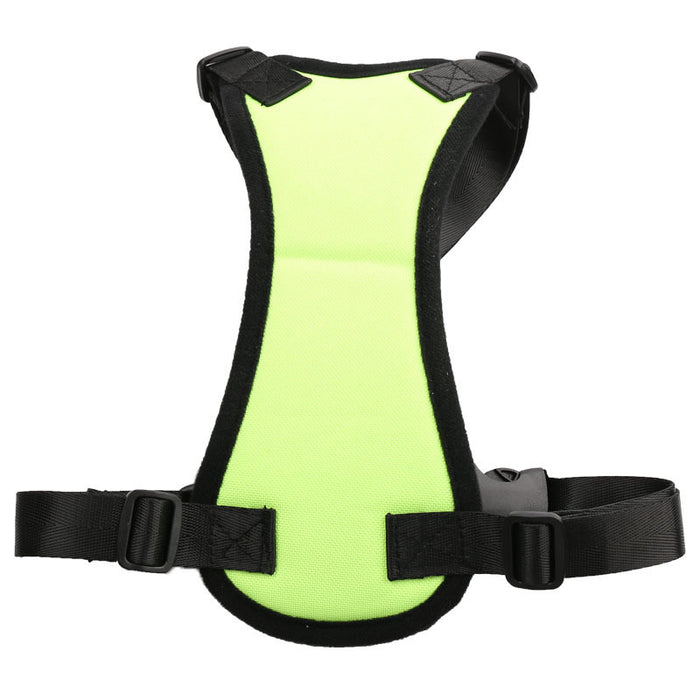 Car seat belt for pets