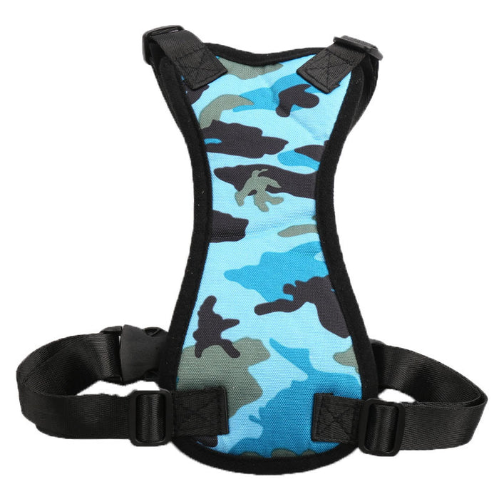 Car seat belt for pets