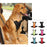 Car seat belt for pets