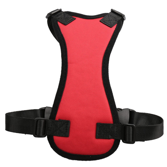 Car seat belt for pets