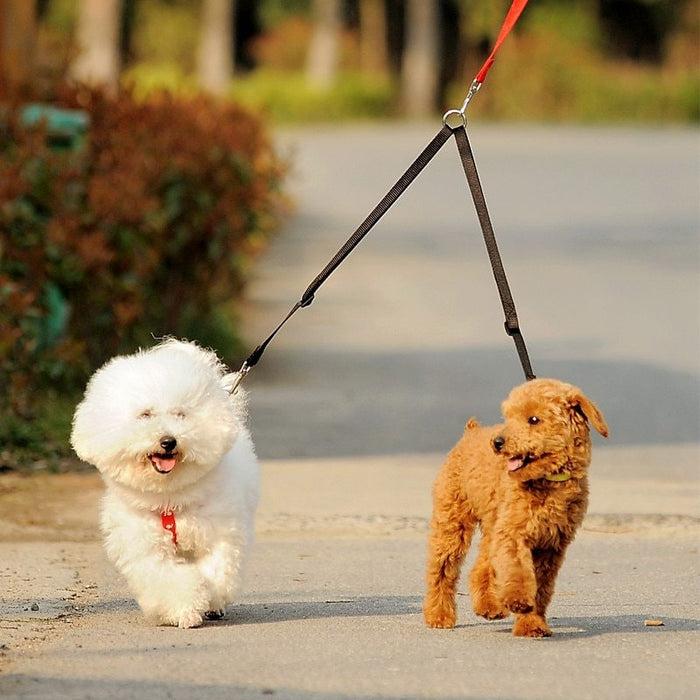 Dual Dog Leash Perfect for Walking Two Dogs Together