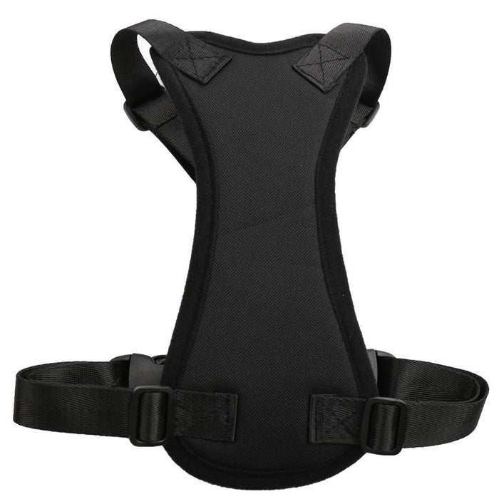 Car seat belt for pets