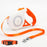 Automatic Retractable Dog Leash Perfect for Walking Small to Medium Dogs